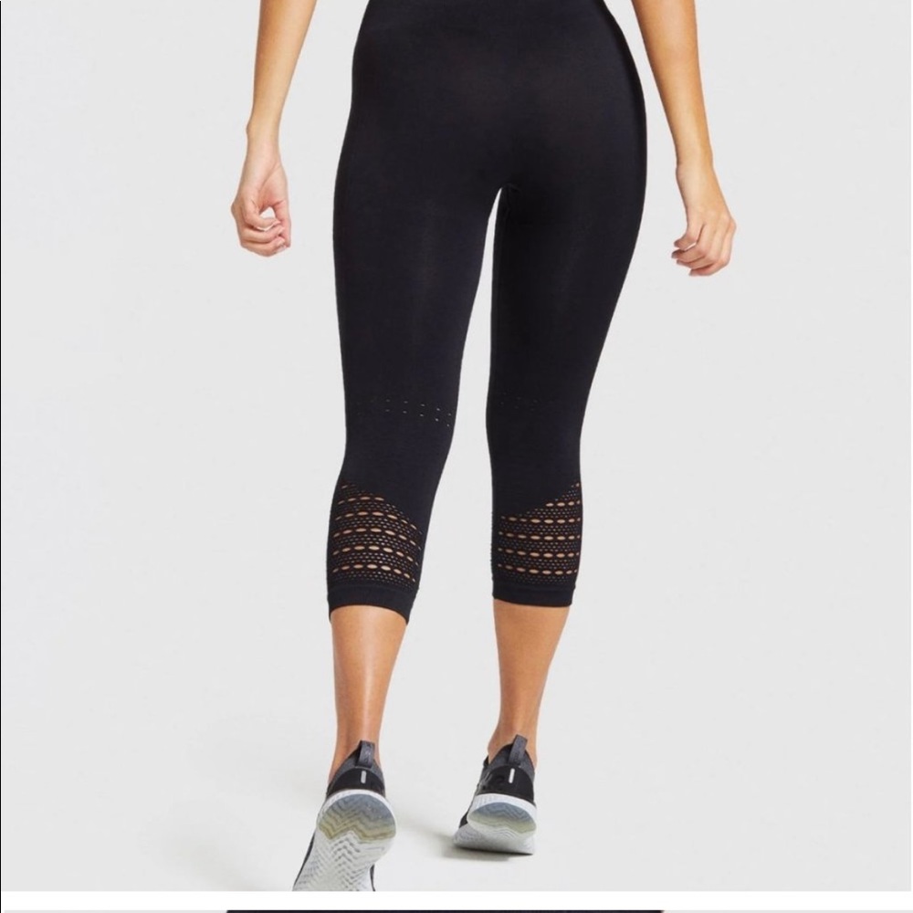 GYM-SHARK ENERGY + SEAMLESS CROPS